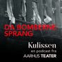 Kulissen en podcast fra aarhus teater